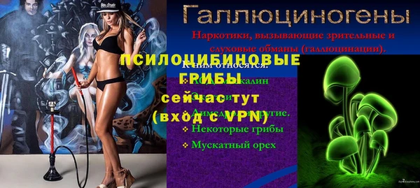 бошки Алексин