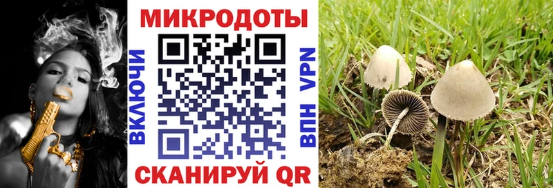 наркошоп  Тейково  Галлюциногенные грибы мухоморы 