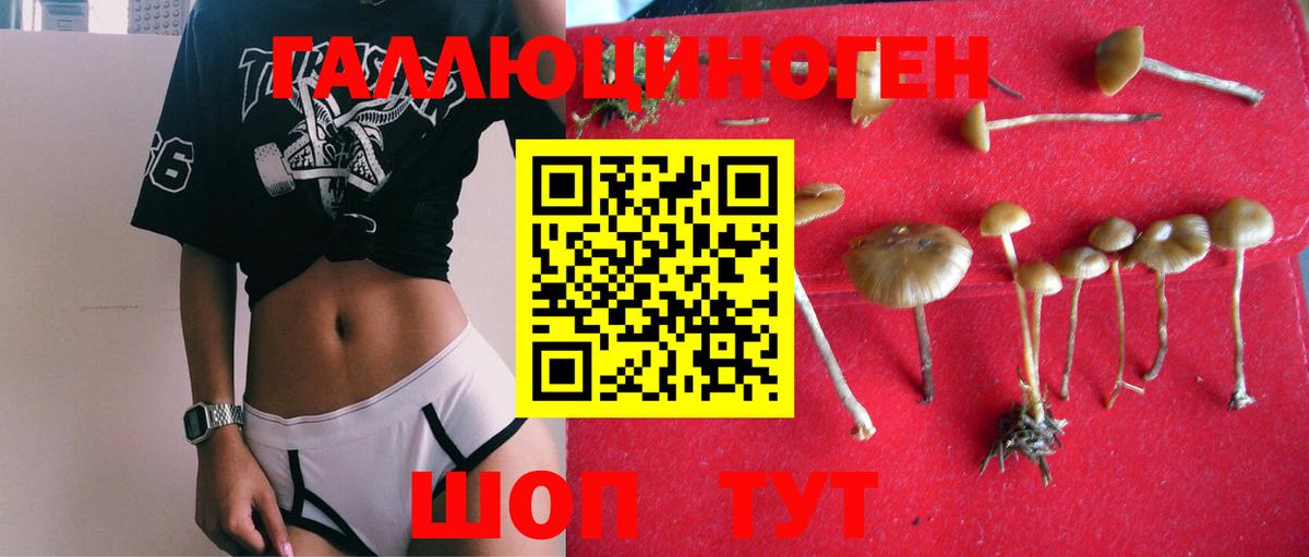 дарнет шоп  Вход с VPN  Тейково  Псилоцибиновые грибы мухоморы 