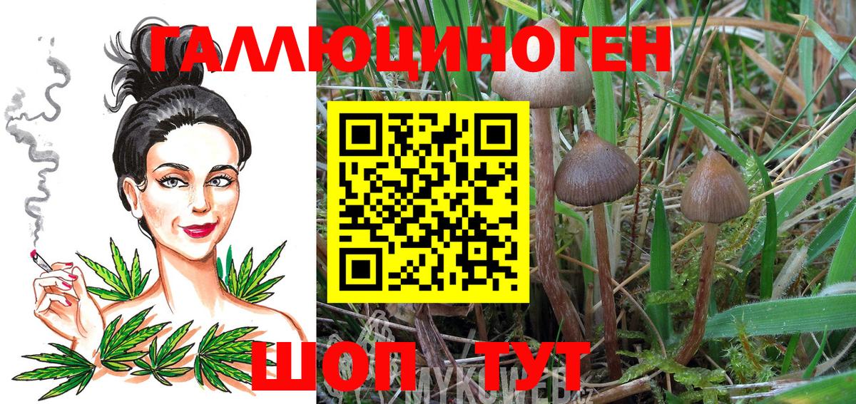 Галлюциногенные грибы Cubensis Тейково